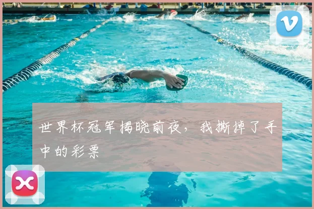 世界杯冠军揭晓前夜，我撕掉了手中的彩票