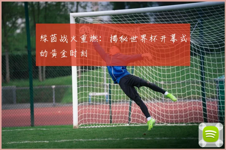 绿茵战火重燃：揭秘世界杯开幕式的黄金时刻