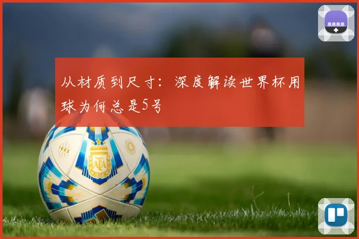 从材质到尺寸：深度解读世界杯用球为何总是5号