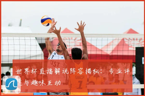 世界杯直播解说阵容揭秘：专业评述与趣味互动