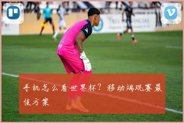 手机怎么看世界杯？移动端观赛最佳方案