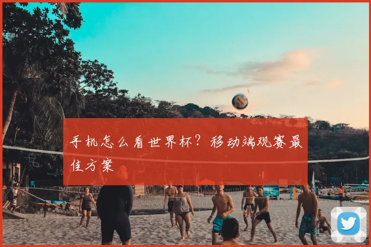 手机怎么看世界杯？移动端观赛最佳方案