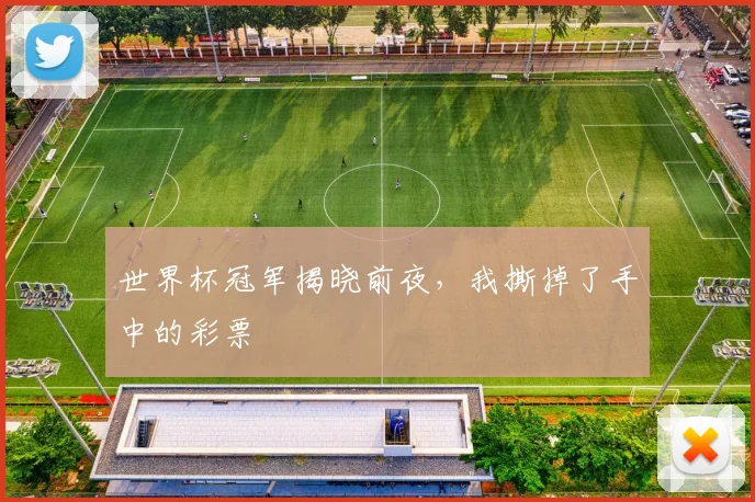 世界杯冠军揭晓前夜，我撕掉了手中的彩票