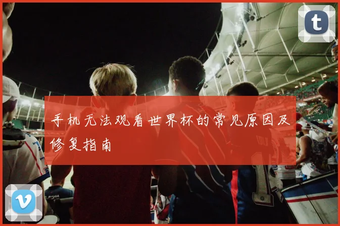 手机无法观看世界杯的常见原因及修复指南