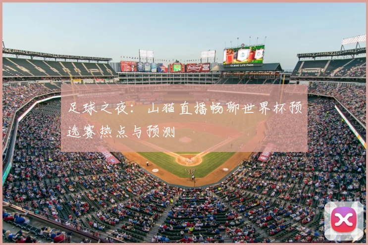 足球之夜：山猫直播畅聊世界杯预选赛热点与预测